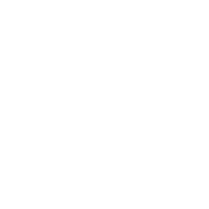 Dylan Thunn Logo